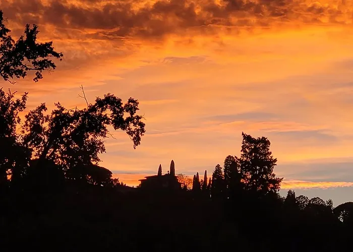 Vista Su Giardini Storici In Oltrarno *