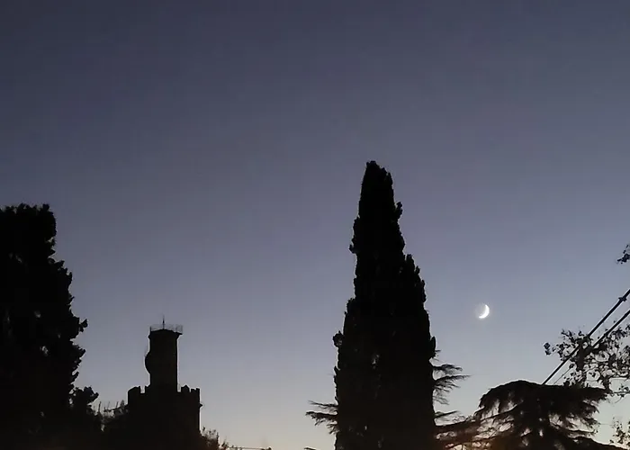 Vista Su Giardini Storici In Oltrarno * 佛罗伦萨