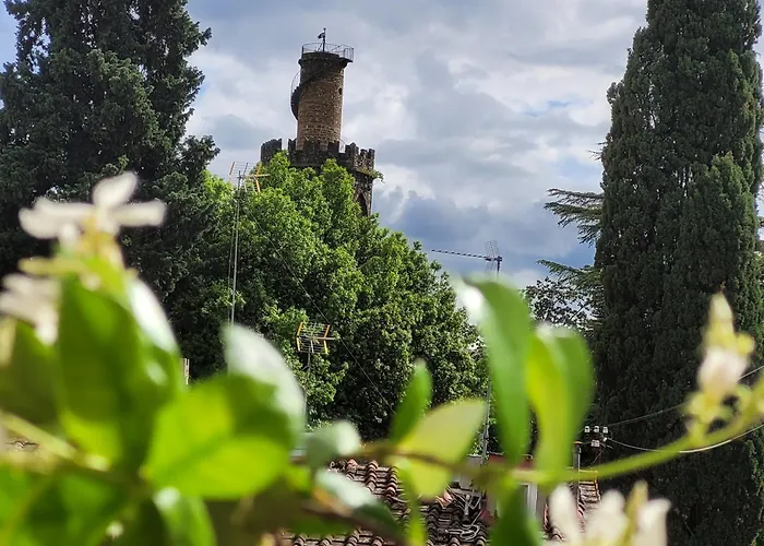 公寓 Vista Su Giardini Storici In Oltrarno 佛罗伦萨